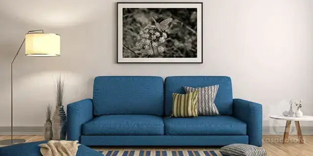 Almofadas para sofá: como escolher o tamanho ideal para seu ambiente