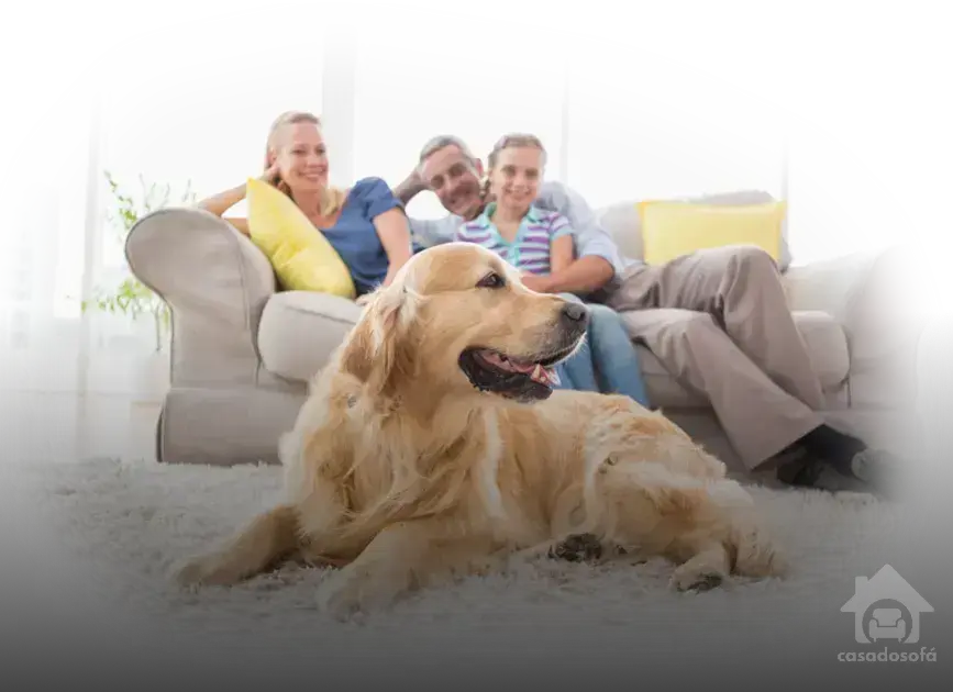 Descubra as Marcas de Sofá que Estão no Topo do Ranking de Qualidade