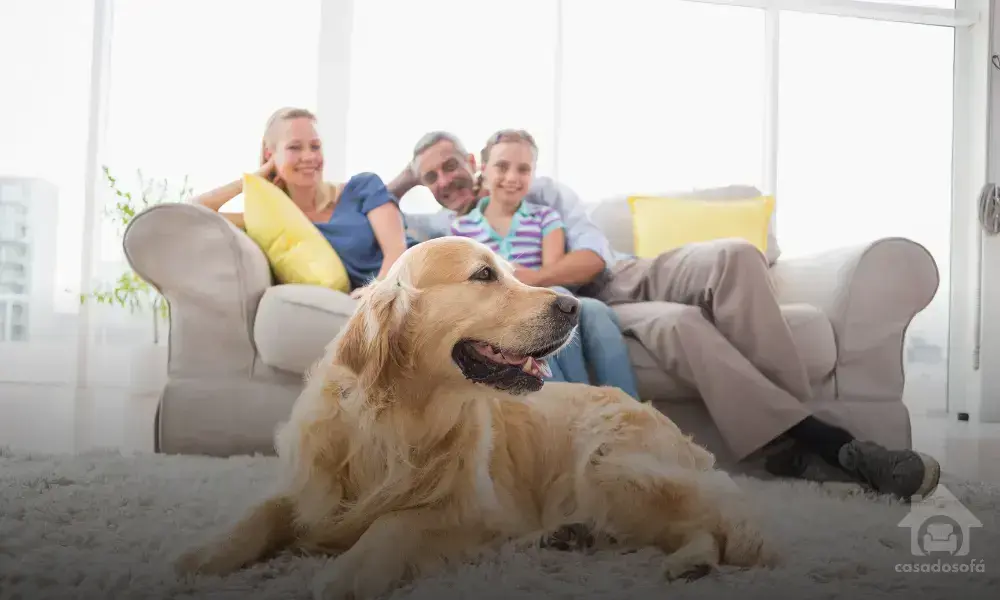 Encontre o sofá perfeito para o seu estilo de vida