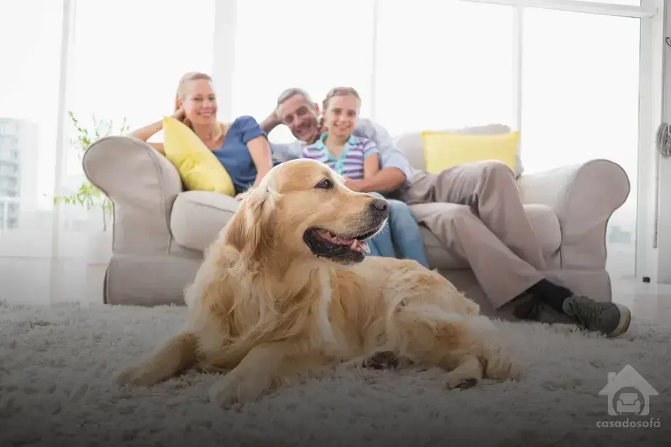 Ideias de sofás sofisticados para ambientes requintados