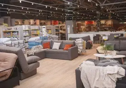 Tendências de cores de sofá para diferentes estilos de decoração